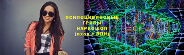 гашик Володарск