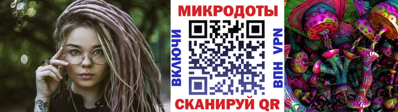Псилоцибиновые грибы GOLDEN TEACHER цена наркотик Заволжск